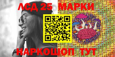прущие грибы Донецк