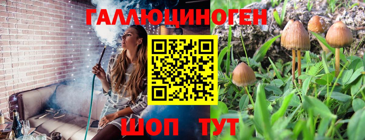 Псилоцибиновые грибы мухоморы  Вход с VPN  Михайловка 